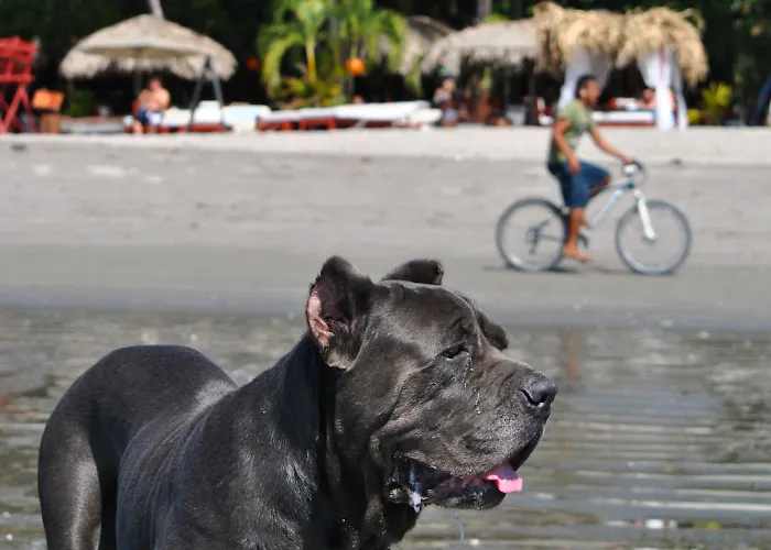 Hotel Locanda Samara Beach